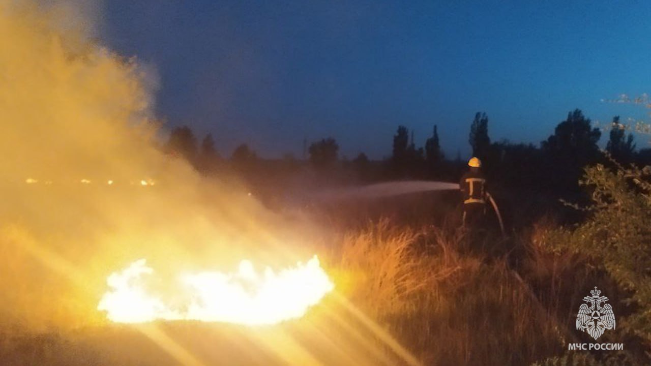 За сутки в ЛНР потушили 20 пожаров в экосистеме | 06.05.2024 | Луганск -  БезФормата